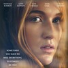 Wildflower 2016 1080p WEB H264-CBFM thumb