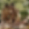 [PlayboyPlus.com] Katya Clover - Garden of Pleasures /   (04.06.2015) [2015 ., Solo, 720p] thumb