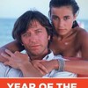 Year of the Jellyfish [1984] / H264 / MKV / Blu-ray / 1080p / AAC / French / PTP thumb