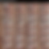 facefucktour.com - College babe Coral loves giving oral - 4K thumb