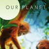 Our Planet 2019 S02 480p x264-RUBiK thumb