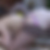 [FERRONETWORK.com / LadiesKissLadies.com]   (Jean, Bex / g670) (15/09/2012) [2012, Femdom, Lesbo, Russian, Oral, SiteRip, 720p thumbnail