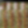 [req][postorgasm.com] Minipack thumb