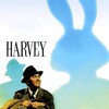 Harvey [1950] / H264 / MKV / Blu-ray / SD / AC3 / Subs / HANDJOB thumb