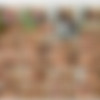 [spoiledvirgins.com] Olivia - 14.07.2010 [2010 ., All Sex, Teen, Threesome, SiteRip] thumb