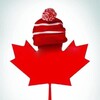 Being Canadian [2015] / H264 / MKV / WEB / 720p / AC3 / Subs / alfaHD thumb