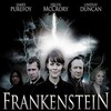 Frankenstein [2007] / H264 / MKV / WEB / SD / AC3 / Subs / ISA thumb