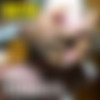 [MidwestFreaks.com] - MWF #586-634 - MegaPack [December 30, 2021 - June 30, 2022] [720p] thumb