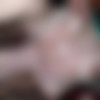 [SplatBukkake.com / UKxxxPass.com] Mandy Foxxx, XTeenCumSlutX - Teen Cum Slut gets her first splattering (SB 173) (28.07.2022) [2022, Bukkake, Big Tits, Big Ass, Brunette, Tattoo, Blowjob, Handjob, Titty Fuck, Facial, 720p] thumb