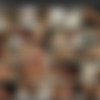 Shay Fox Megapack thumbnail
