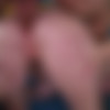 Ashley Lane - TushyRaw 10.11.19 HEVC 1080p thumb