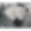 [Blackbullchallenge.com] Diverse Stacey (Interracial Confessions) [24.01.2021, Anal, IR, Milf, Redhair, 1080p] thumbnail