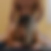 [CastingCouch-HD.com] Kendra [2017 ., Hardcore, Ass Licking, Cum in Mouth, Ball Sucking, DT, Blowjob, Casting, IR, All Sex, 1080p] thumb