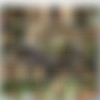 XY Video / Eurofuck / Black Rose (213 ) Pack (Ralf Scott, Chris Austin, Marcel Grande, Mike Zigge) [1990-2000 ., All Sex, VOD, DVDRip] thumbnail