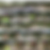 Decibelle - Megapack (86 videos, 169 images) thumb