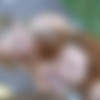 [18onlygirls.com] Caprice, Hailey - Caught & Punished (17.02.13) [2013 ., Blonde, FFM, Hardcore, Movies, Outdoor, Redhead, Shaved Pussy, Small Tits, Threesome, 1080p] thumb