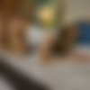[GirlsDoPorn] 19 Years Old - E254 - 4k x265 [AI Upscaled] [Req] thumb