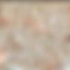 [WOWGIRLS.COM] Image siterip, 622 sets [2018, 2019] thumb