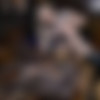 [OF-LuisaTavares] Fucking Cat Woman - Self sucking TS [1080p] thumbnail