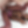 [TeamSkeet.com / Submissived.com] Kandie Monaee - Unicorn Porn [2019.04.01, All Sex, Ebony, 1080p] thumb