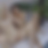 [VivThomas.com / Metart.com] Nikki Hill, Foxy Alissa (Sexy Vacation / 01.02.22) [2022, Lesbian, 1080p] thumb