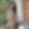 [PlayboyPlus.com] 2019 Kit Rysha - Romantic Radiance 26.12.19 [Erotic] [1080p] thumb