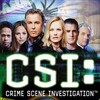 CSI S04 iNTERNAL DVDRip XviD-DEiMOS thumb