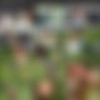 [MyPickupGirls.com] Out door sex video on deserted beach (Michele) [ All sex, Group, Teens][ 2011] thumbnail