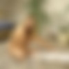 [Hegre.com] 2019-07-09 Lauren - A Day In The Life of Lauren, Kiev, Ukraine [Erotic, Solo, 1080p] thumb