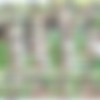 [PrivateStars.com / Private.com] Apolonia Lapiedra (Apolonia fucked on the grass / 14.10.17.) [2017 ., Gonzo, All Sex, 720p] thumbnail