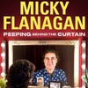 Micky Flanagan: Peeping Behind the Curtain [2020] / H264 / MKV / Blu-ray / 1080p / DTS / Subs / Scene / ORBS thumb