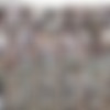 [REQ]Let's hear it for HOLLY MICHAELS! A (repacked for size) HD & SD Megapack! (126 scenes) thumb