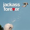 Jackass Forever [2022] / H264 / MKV / WEB / 1080p / AC3 / CMRG thumb