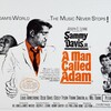 A Man Called Adam 1966 1080p BluRay x264-OFT thumb