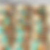 SpecialExamination.com [Siterip till August 2011] thumbnail