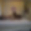 [FC2.com] - [Individual] shooting face / sex aggressive married woman 