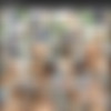 [AllInternal.com / PerfectGonzo.com] Agness Miller (12801 / 27.12.13) [2013 ., Anal, Natural Tits, Ass To Mouth, Blowjob, Gapes, Creampie, Hardcore] thumb