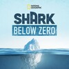 Shark Below Zero [2023] / H264 / MKV / WEB / 1080p / AC3 / Subs / Scene / EDITH thumb
