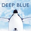 BBC Deep Blue 2003 DVDRip XViD-VoMiT thumb