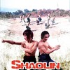 Shaolin Martial Arts [1974] / MPEG2 / VOB IFO / DVD / SD / AC3 / Chinese / Subs thumb