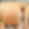 [AssTraffic.com / PerfectGonzo.com] Vinna Reed (13075 / 12.11.14) [2014 ., Anal Sex, Ass to Mouth, Cumshot Swallowing - Single, Toys - Anal] thumb