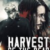 Harvest of the Dead: Halloween Night [2020] / H264 / MKV / WEB / 1080p / AAC / BobDobbs thumb