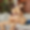 [ButtPlays.com / 21Sextury.com] Cloee (My private teacher / v600021 / 27.12.12) [2012 ., Anal, Natural Tits, Blowjob, Cumshot, Facials, Hardcore] thumb