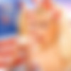 Blonde Ambition /    (Wes Emerson, Jill Kelly Prod.) [2004 ., Anal, Toys, Big Boobs, Facial, Lesbian, Threesome, Swallow, VOD] (Cindy Crawford, Alana Evans, Victoria Givens, Ashton Moore, Tyler Faith, Ashley Fires) thumb