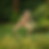 [ALSScan.com] 2013-09-04 Cayenne - Sheared [Solo, Toys, Anal, DP, Outdoor] [ 2893x4343  3456x5184, 298 ] thumb