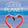 Queer Planet 2024 1080p WEB H264-RVKD thumb