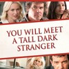 You Will Meet a Tall Dark Stranger [2010] / H264 / MKV / Blu-ray / 1080p / DTS / Subs thumb