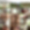 [GirlsOutWest] Partial Site-rip of Girl/Boy Vids - *Hardcore real-life couples!* [MP4][720p-1080p] thumb