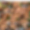Lenka Murinova @ karupspc.com thumb