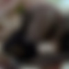 [FERRONETWORK.com / PantyhoseJobs.com] Amy A, Gerhard (g708) [720p, SATRip/2013 ., Bathroom,Washing,Blondes,Natural Tits,Pantyhose,Oral,69,All Sex] thumb